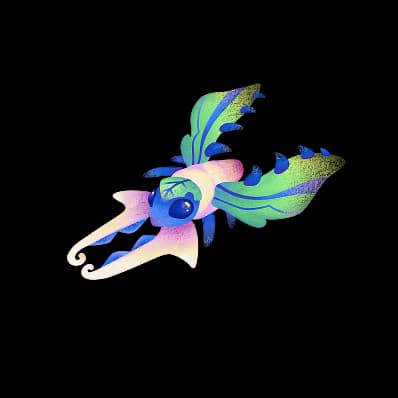 fly